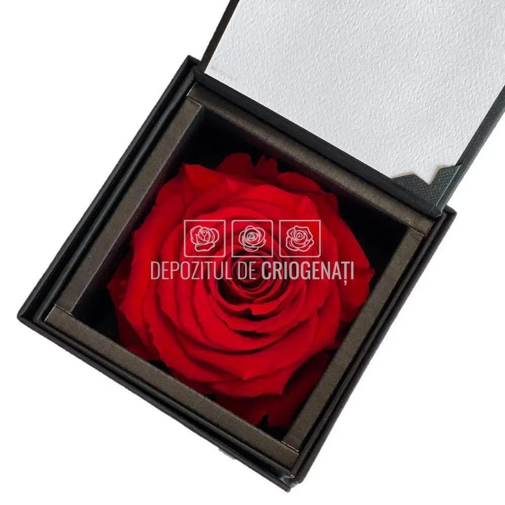 Trandafir Criogenat Rosu (Ø6,5-7cm) in Cutie (8,5x12,5cm) - DepozituldeCriogenati.ro