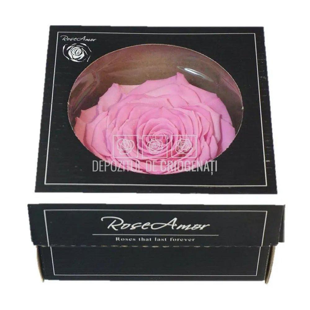 Trandafir Criogenat XXL BIC-08 (Ø9,5cm, 1 buc /cutie) - DepozituldeCriogenati.ro
