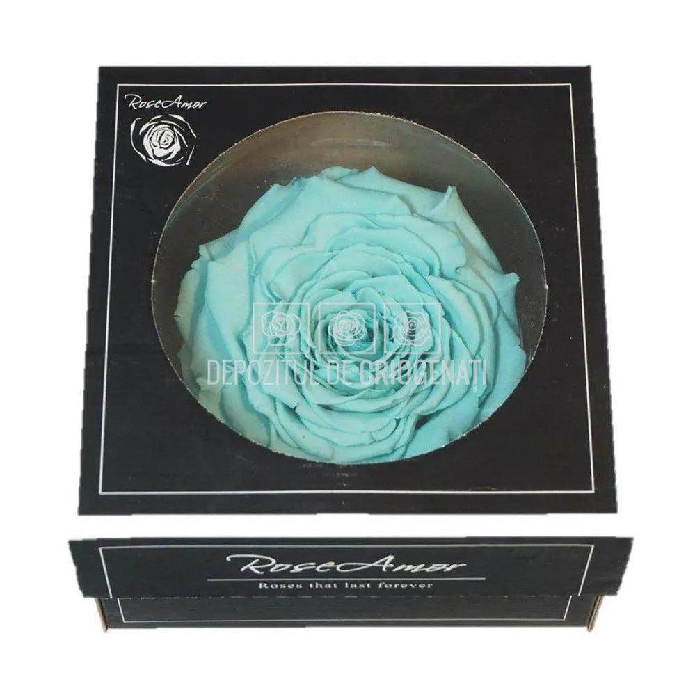 Trandafir Criogenat XXL BLU - 02 (dia. 9,5cm, 1 buc /cutie) - Depozitul de Criogenati