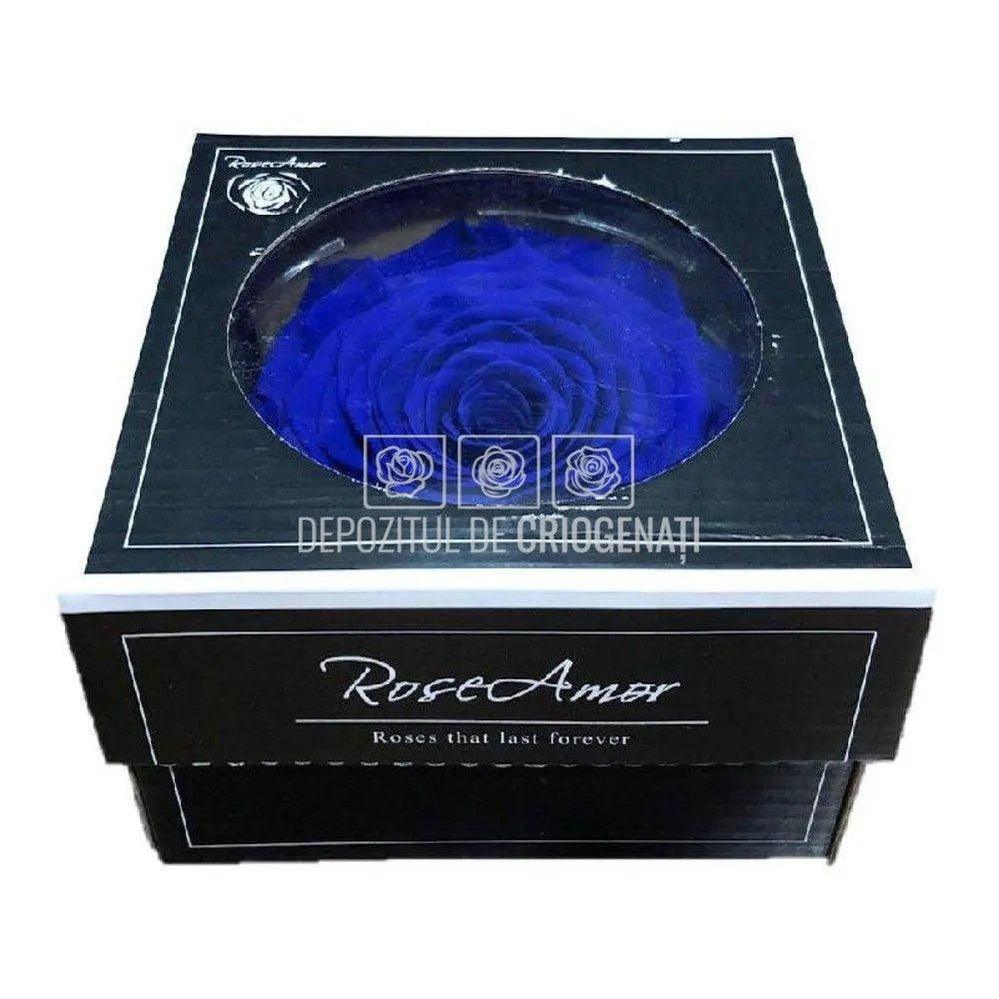 Trandafir Criogenat XXL BLU - 03 (dia. 9,5cm, 1 buc /cutie) - Depozitul de Criogenati