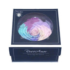 Trandafir Criogenat XXL CANDY RAINBOW PIN - 04 dia. 9,5cm, 1 buc /cutie - Depozitul de Criogenati