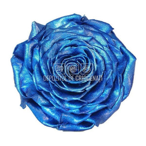 Trandafir Criogenat XXL METALLIC DEEP BLUE (Ø9,5cm, 1 buc /cutie) - DepozituldeCriogenati.ro