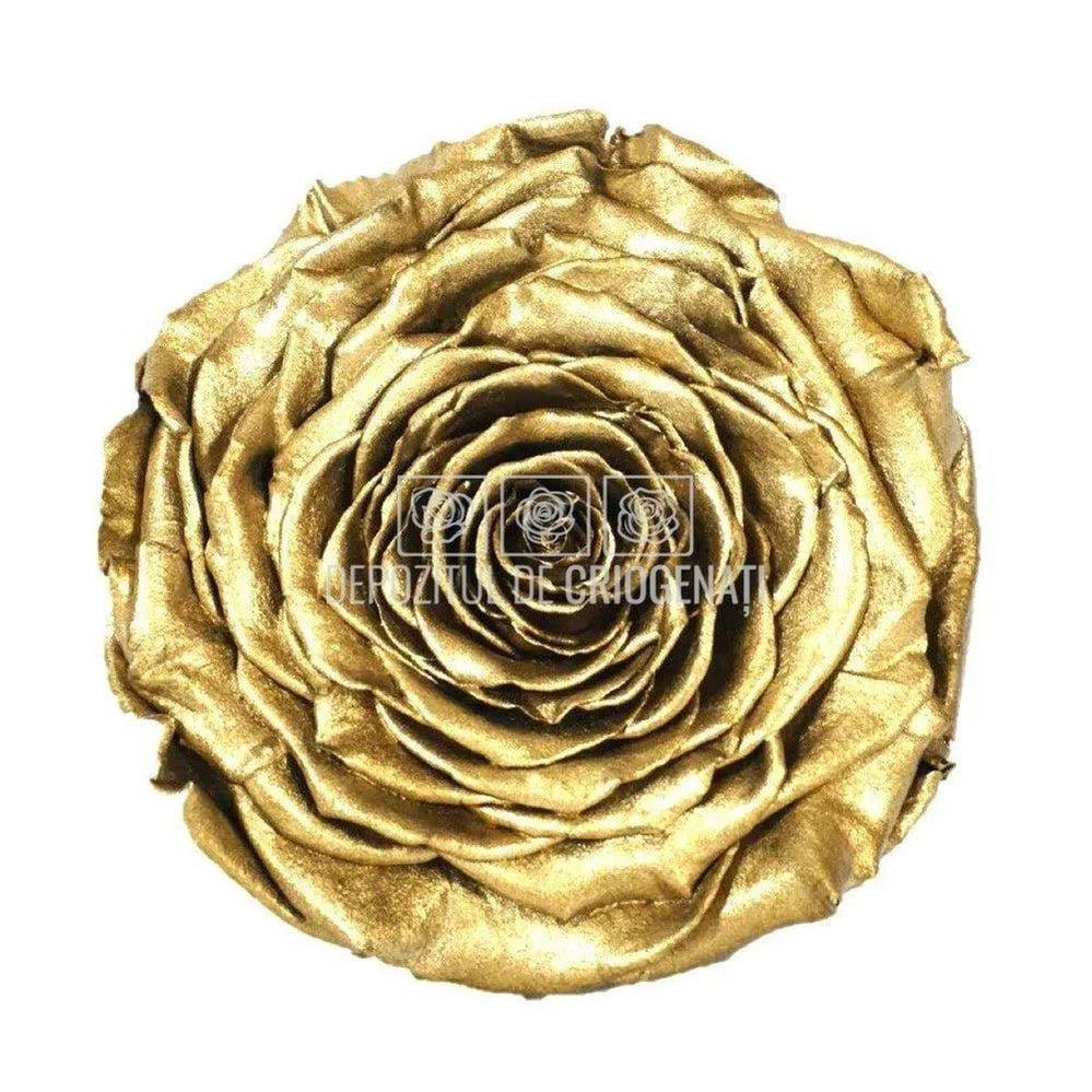 Trandafir Criogenat XXL METALLIC GOLD (dia. 9,5cm, 1 buc /cutie) - Depozitul de Criogenati