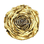 Trandafir Criogenat XXL METALLIC GOLD (dia. 9,5cm, 1 buc /cutie) - Depozitul de Criogenati
