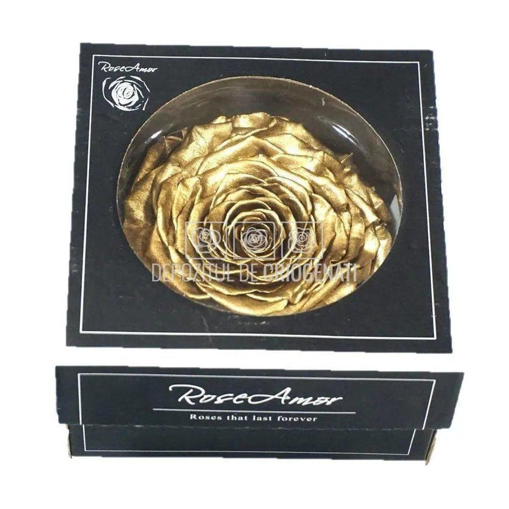 Trandafir Criogenat XXL METALLIC GOLD (dia. 9,5cm, 1 buc /cutie) - Depozitul de Criogenati