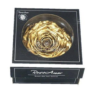 Trandafir Criogenat XXL METALLIC GOLD (Ø9,5cm, 1 buc /cutie) - DepozituldeCriogenati.ro