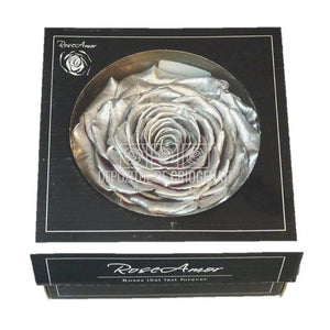 Trandafir Criogenat XXL METALLIC SILVER (Ø9,5cm, 1 buc /cutie) - DepozituldeCriogenati.ro