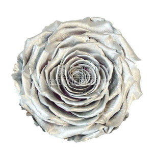 Trandafir Criogenat XXL METALLIC SILVER (Ø9,5cm, 1 buc /cutie) - DepozituldeCriogenati.ro