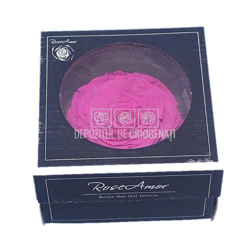 Trandafir Criogenat XXL PIN - 07 (dia. 9,5cm, 1 buc /cutie) - Depozitul de Criogenati