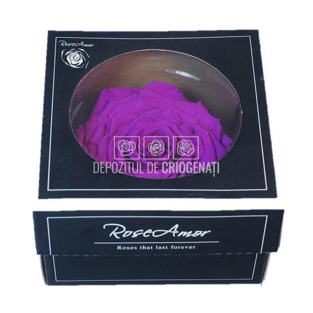 Trandafir Criogenat XXL PUR - 02 (dia. 9,5cm, 1 buc /cutie) - Depozitul de Criogenati