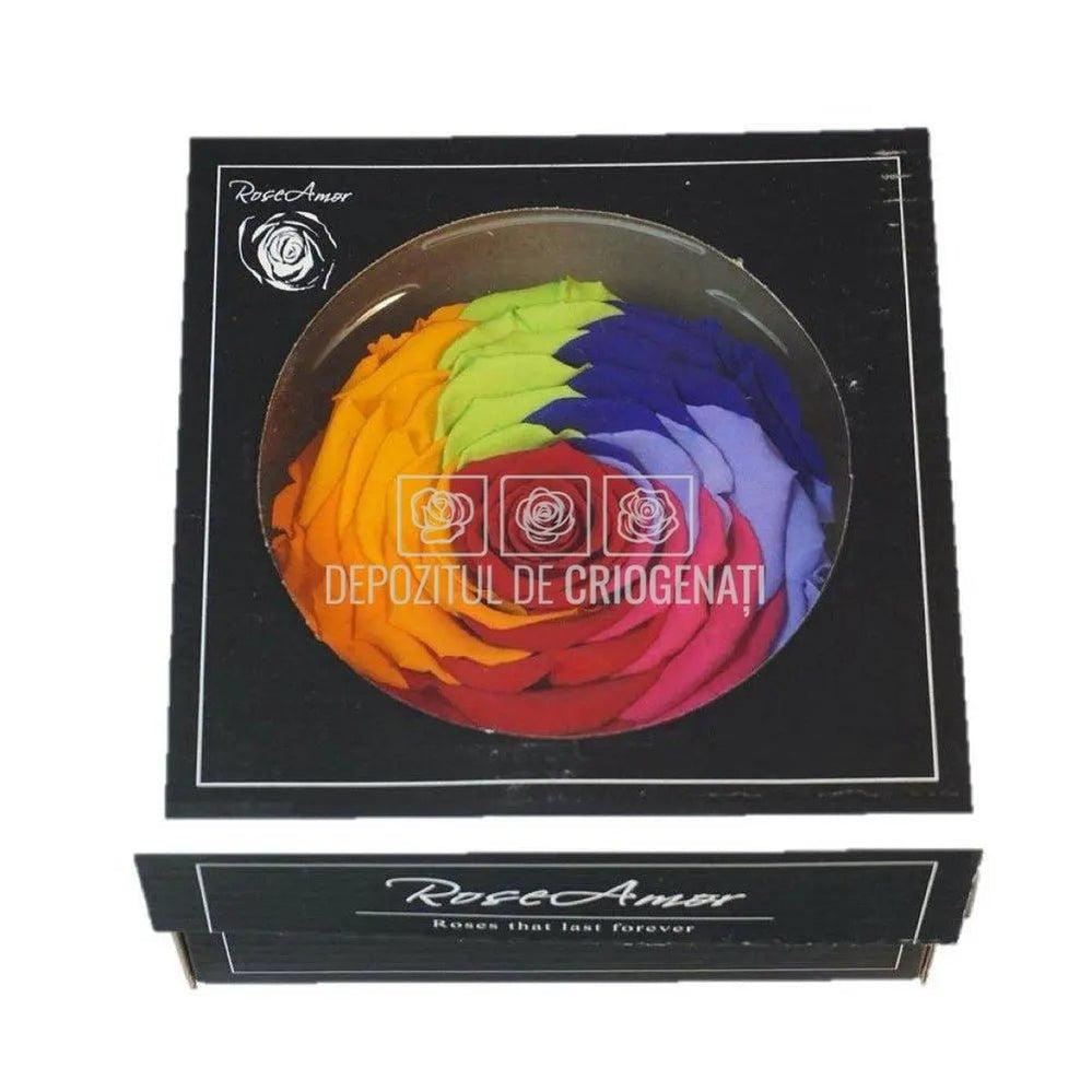 Trandafir Criogenat XXL RAINBOW RED-02 (dia. 9,5cm, 1 buc /cutie)