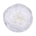 Trandafir Criogenat XXL WHI - 01 (dia. 9,5cm, 1 buc /cutie) - Depozitul de Criogenati