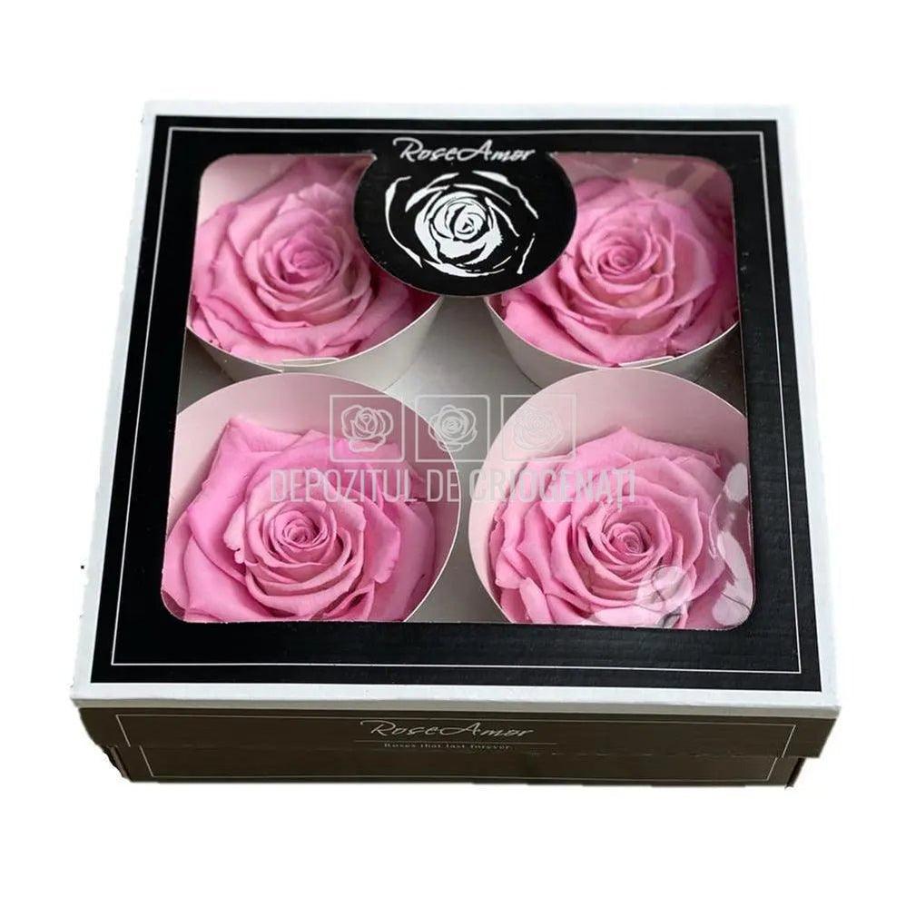 Trandafiri Criogenati BELLA BIC-08 (Ø7,5-8cm, set 4 buc /cutie) - DepozituldeCriogenati.ro