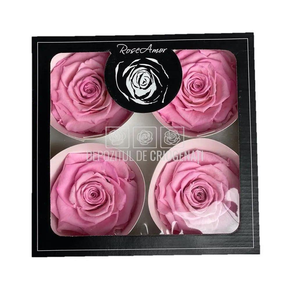Trandafiri Criogenati BELLA BIC-08 (Ø7,5-8cm, set 4 buc /cutie) - DepozituldeCriogenati.ro