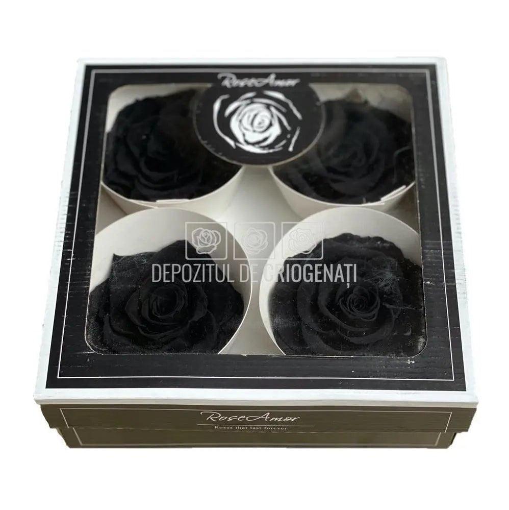 Trandafiri Criogenati BELLA BLA-01 (Ø7,5-8cm, set 4 buc /cutie) - DepozituldeCriogenati.ro