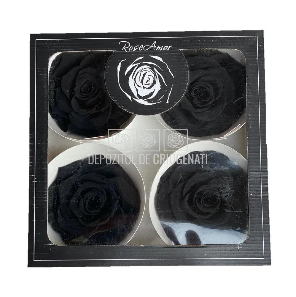 Trandafiri Criogenati BELLA BLA-01 (Ø7,5-8cm, set 4 buc /cutie) - DepozituldeCriogenati.ro