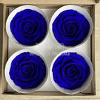 Trandafiri Criogenati BELLA BLU - 03 (dia. 7,5 - 8cm) - Depozitul de Criogenati