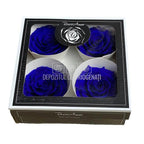 Trandafiri Criogenati BELLA BLU - 03 (dia. 7,5 - 8cm) - Depozitul de Criogenati
