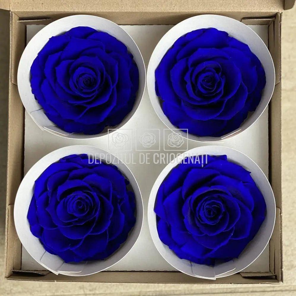 Trandafiri Criogenati BELLA BLU-03 (Ø7,5-8cm, set 4 buc /cutie) - DepozituldeCriogenati.ro