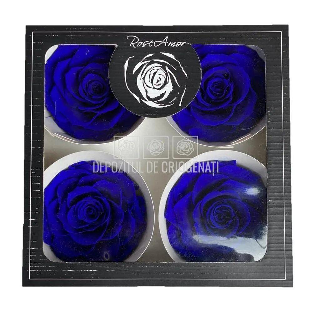Trandafiri Criogenati BELLA BLU-03 (Ø7,5-8cm, set 4 buc /cutie) - DepozituldeCriogenati.ro