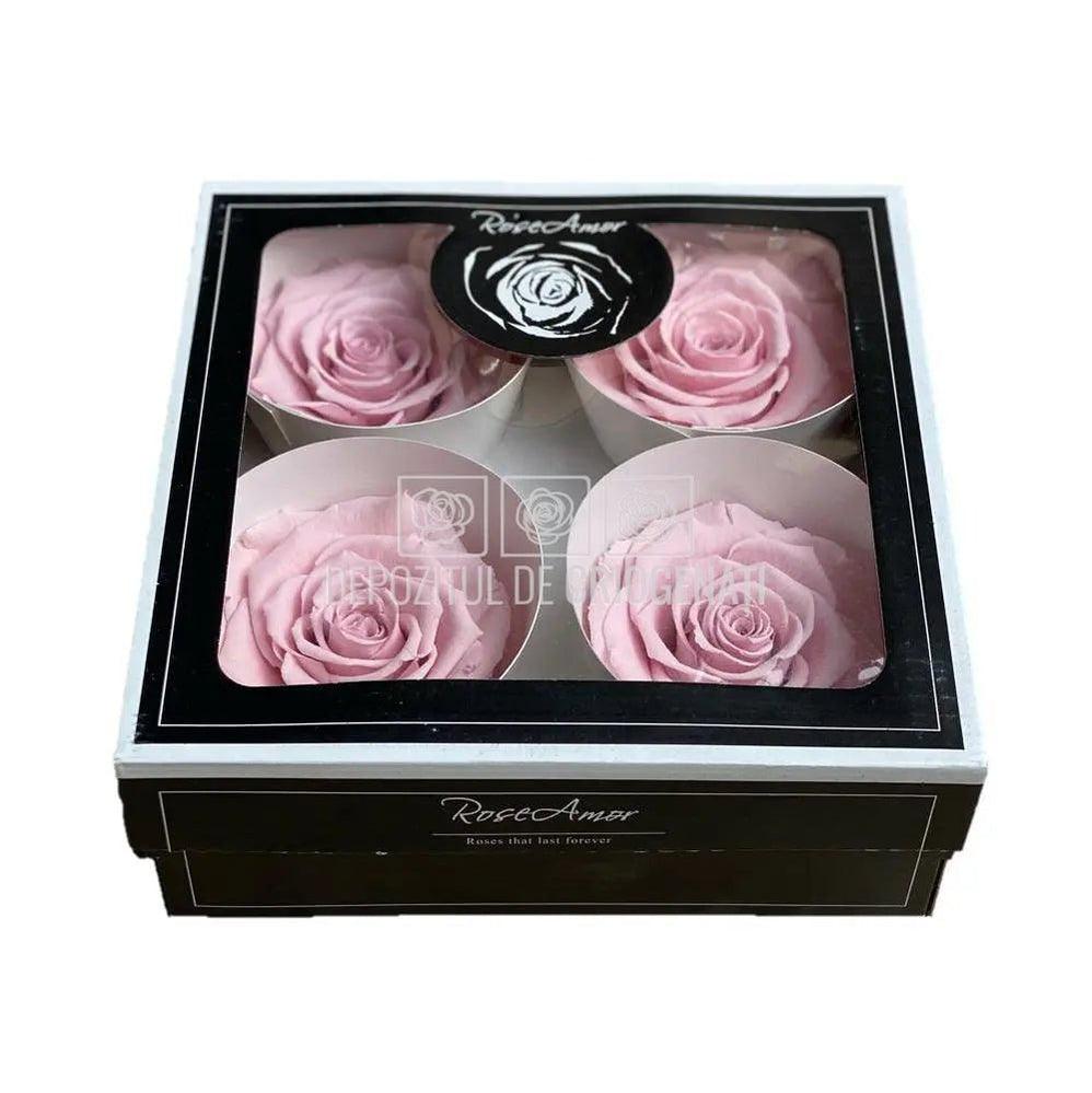 Trandafiri Criogenati BELLA PIN-04 (Ø7,5-8cm, set 4 buc /cutie) - DepozituldeCriogenati.ro