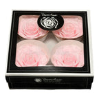 Trandafiri Criogenati BELLA PIN-99 (dia. 7,5-8cm, set 4 buc /cutie) - DepozituldeCriogenati.ro