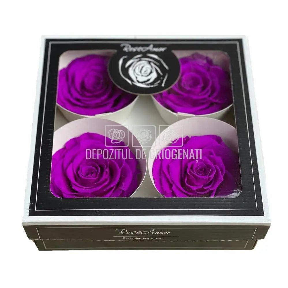 Trandafiri Criogenati BELLA PUR-02 (Ø7,5-8cm, set 4 buc /cutie) - DepozituldeCriogenati.ro