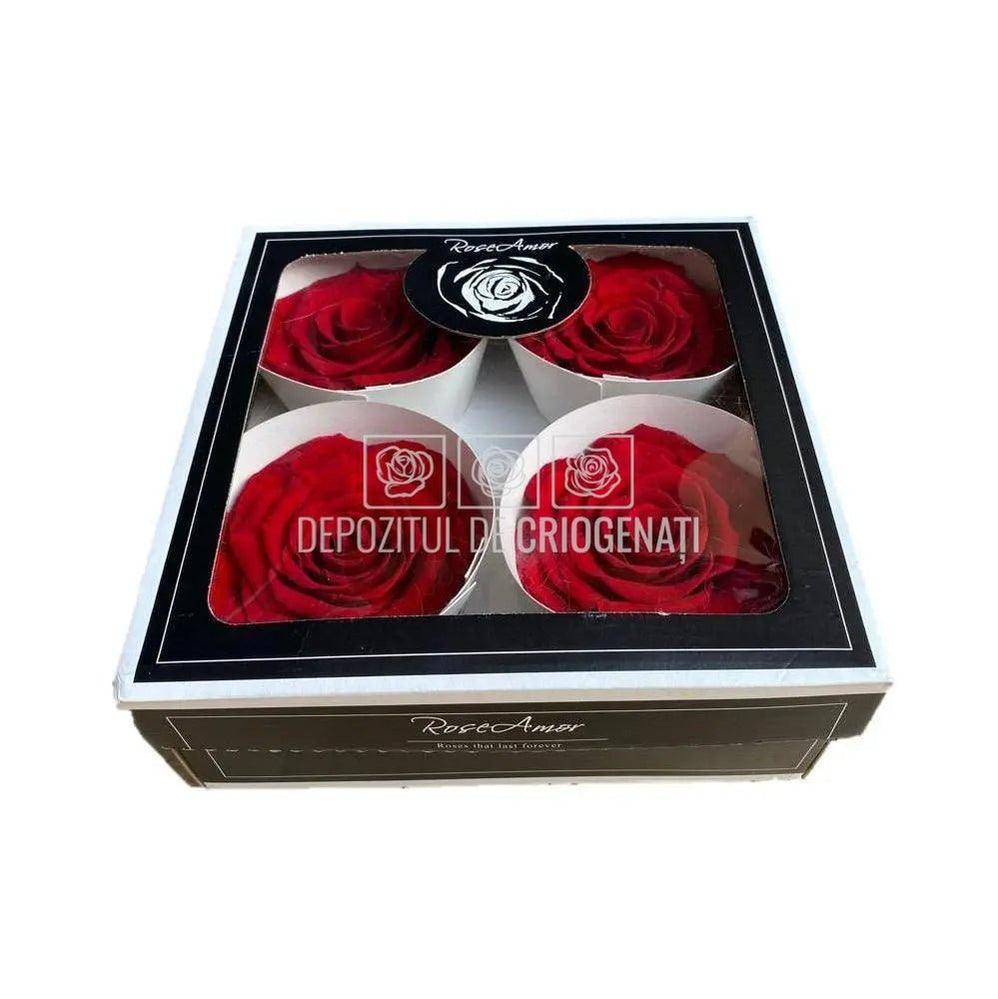 Trandafiri Criogenati BELLA RED - 02 (dia. 7,5 - 8cm) - Depozitul de Criogenati