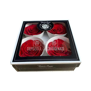 Trandafiri Criogenati BELLA RED-02 (Ø7,5-8cm, set 4 buc /cutie) - DepozituldeCriogenati.ro