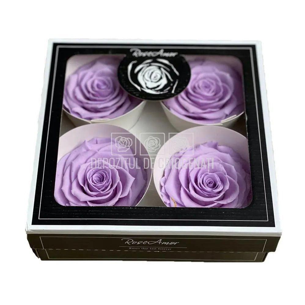 Trandafiri Criogenati BELLA VIO-03 (Ø7,5-8cm, set 4 buc /cutie) - DepozituldeCriogenati.ro