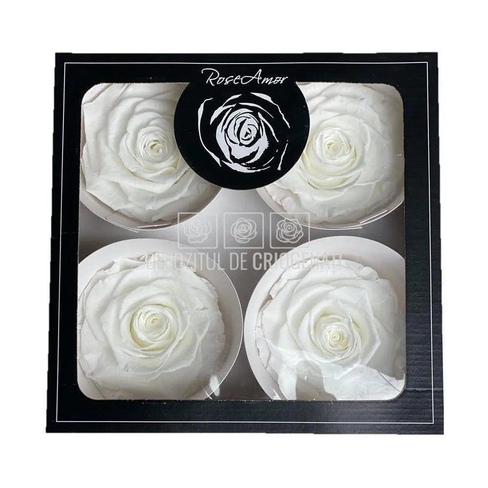 Trandafiri Criogenati BELLA WHI - 01 (dia. 7,5 - 8cm) - Depozitul de Criogenati