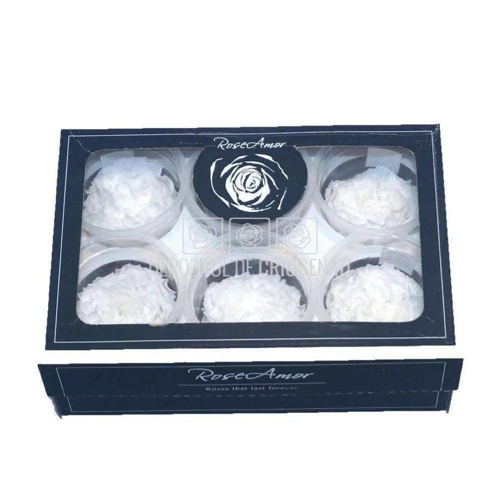 Trandafiri Criogenati CARMEN WHI-01 (Ø6-6,5cm, set 6 buc /cutie) - DepozituldeCriogenati.ro