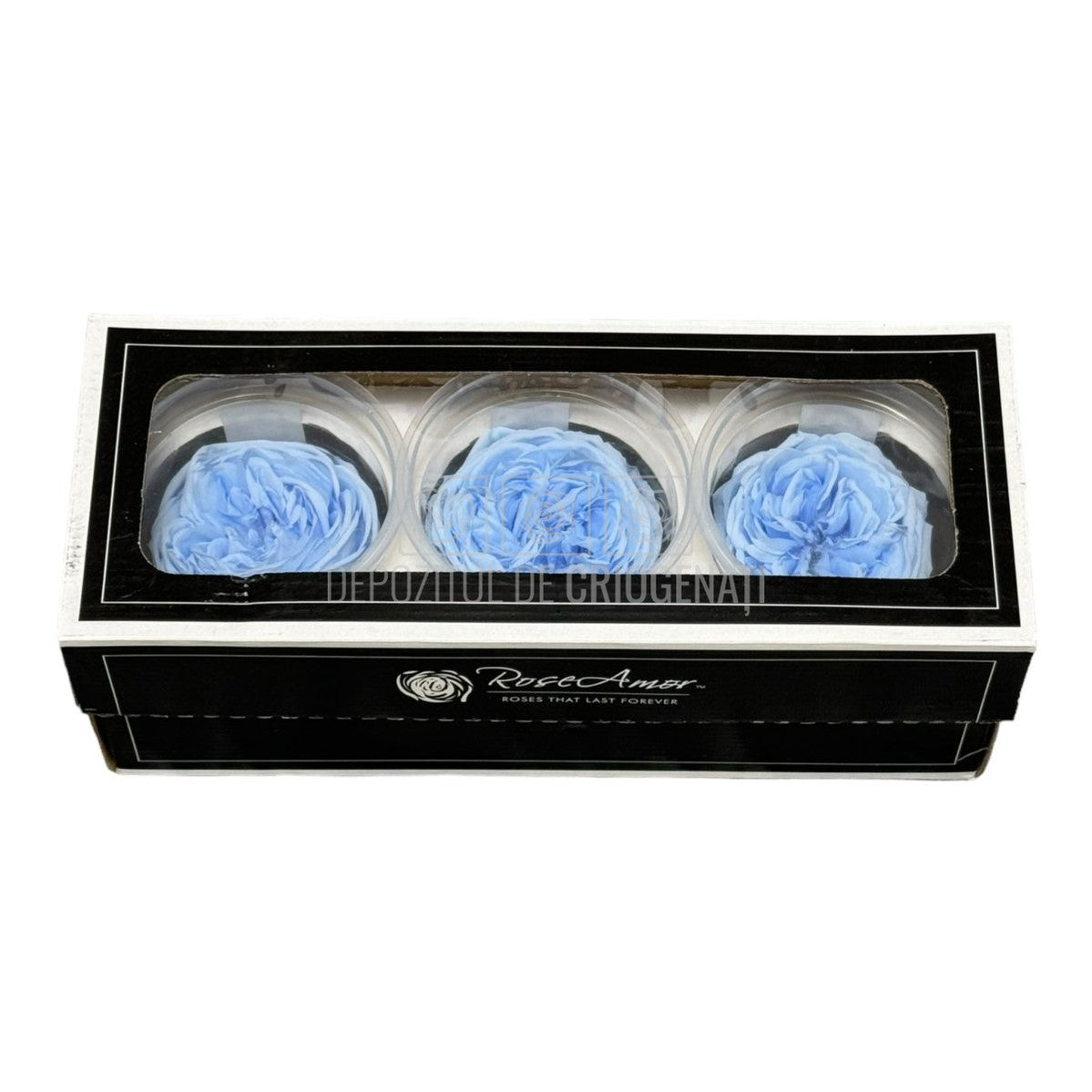 Trandafiri Criogenati KABUKIZA BLU-89 (dia.6cm x 3,2cm, set 3 buc /cutie) - DepozituldeCriogenati.ro