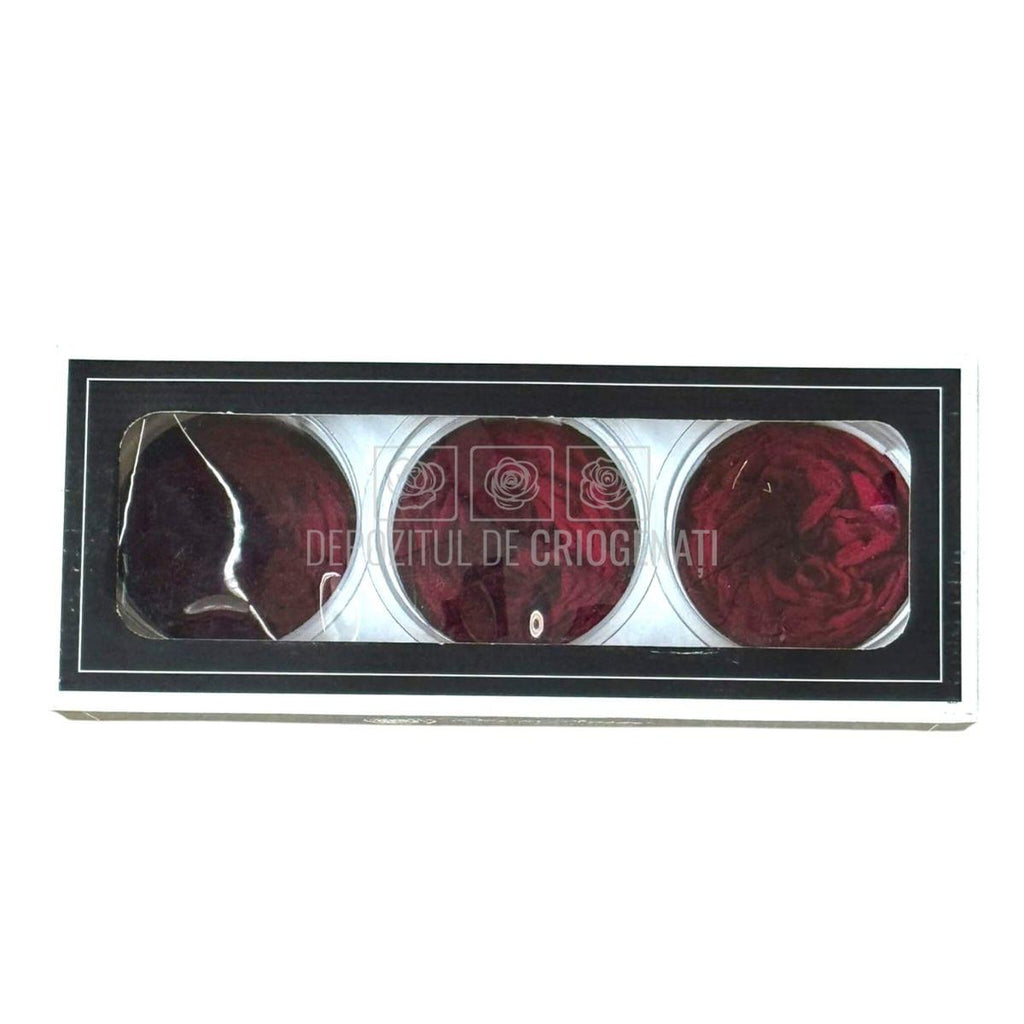 Trandafiri Criogenati KABUKIZA PIN-02 (dia. 6cm x 3,5cm) - Depozitul de Criogenati