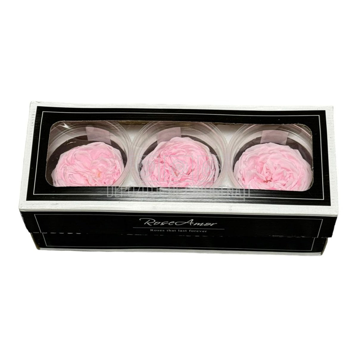 Trandafiri Criogenati KABUKIZA PIN-99 (dia.6cm x 3,2cm, set 3 buc /cutie) - DepozituldeCriogenati.ro