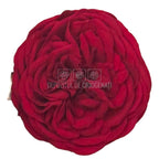Trandafiri Criogenati KABUKIZA RED-01 (dia. 6cm x 3,5cm) - Depozitul de Criogenati