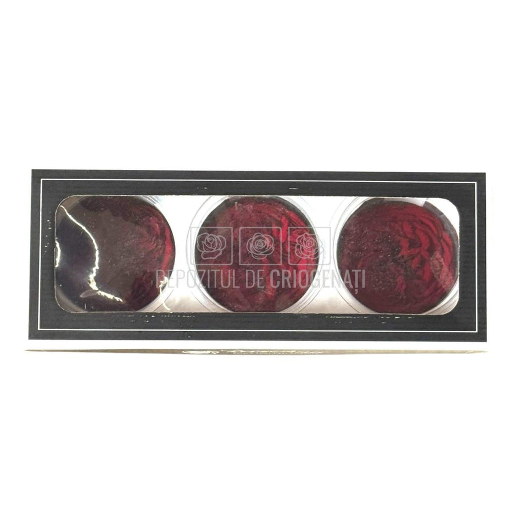 Trandafiri Criogenati KABUKIZA RED-01 (dia. 6cm x 3,5cm) - Depozitul de Criogenati
