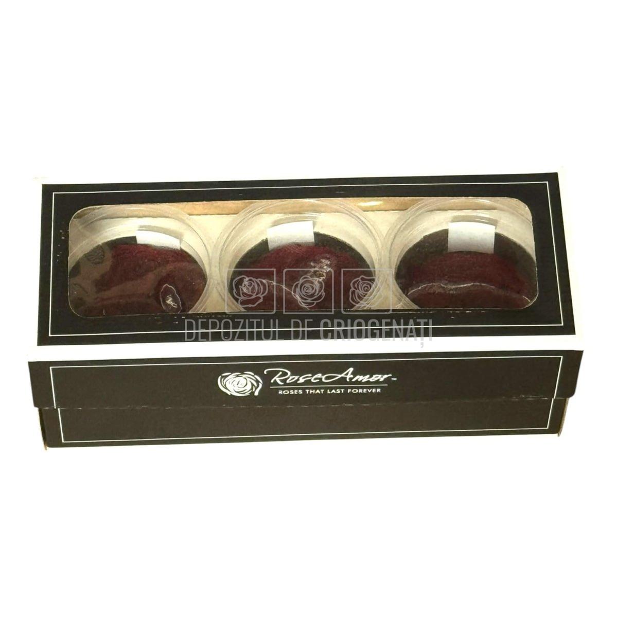 Trandafiri Criogenati KABUKIZA RED-01 (dia. 6cm x 3,5cm) - Depozitul de Criogenati