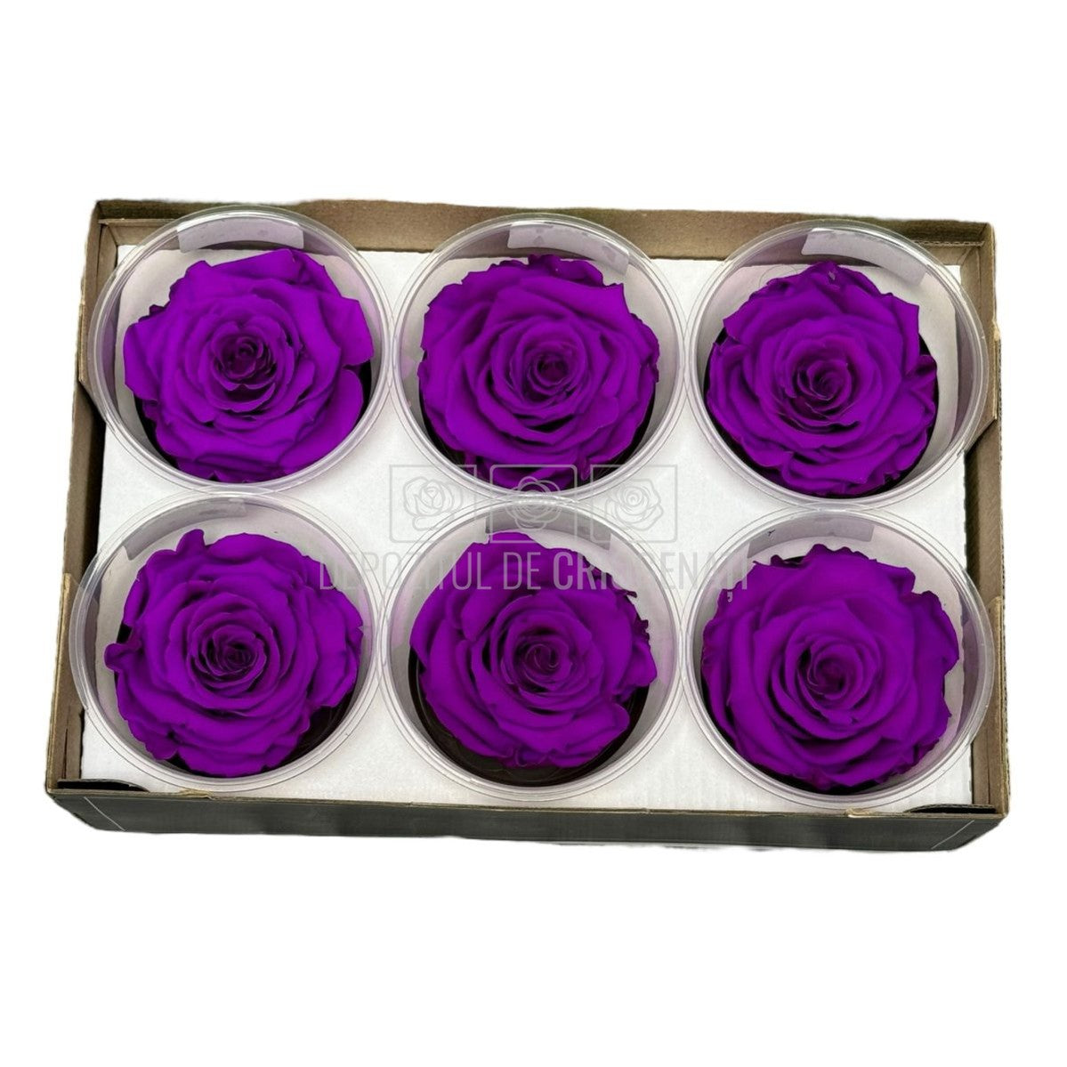 Trandafiri Criogenati LL+ PUR-02 (dia. 6,5cm, set 6 buc /cutie) - DepozituldeCriogenati.ro