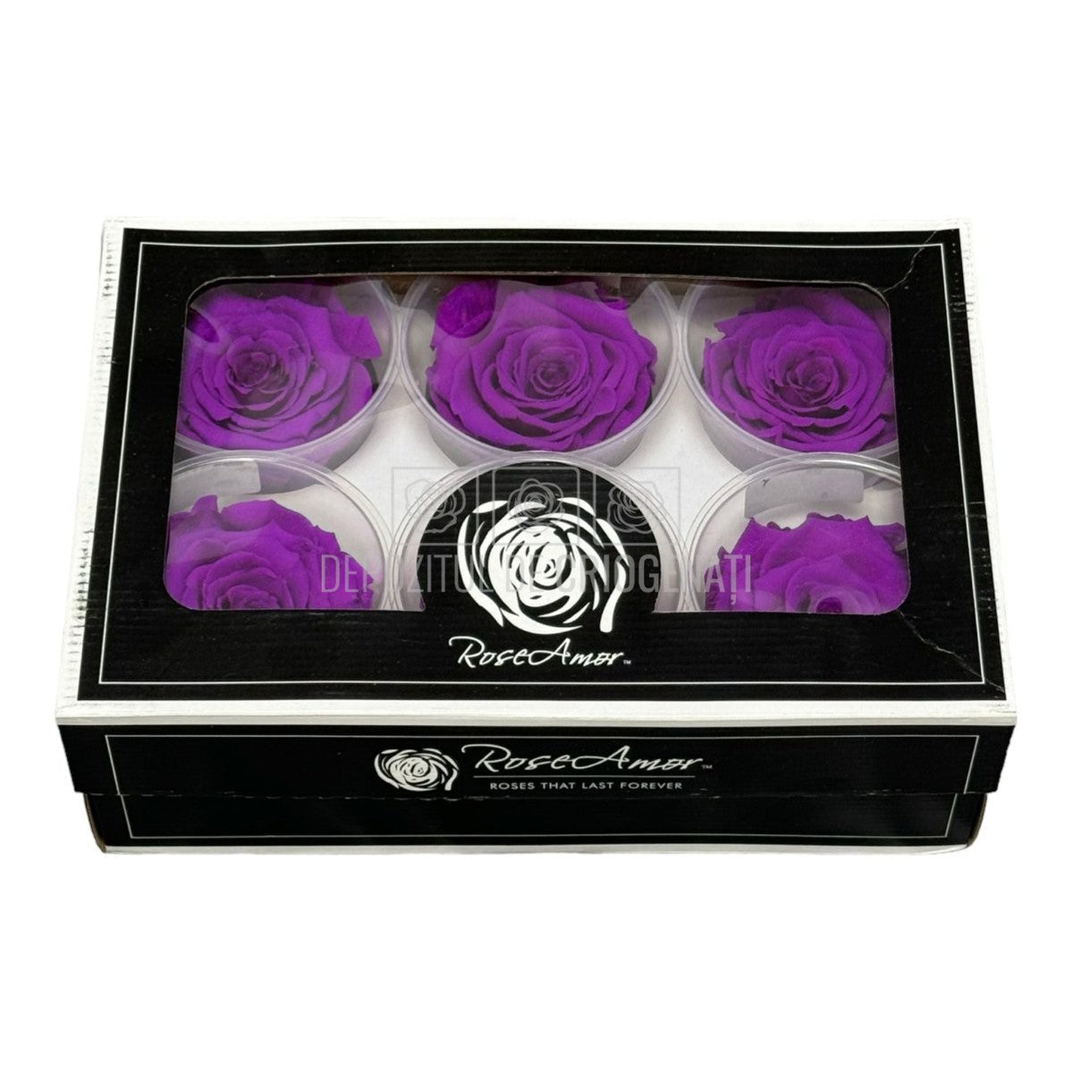 Trandafiri Criogenati LL+ PUR-02 (dia. 6,5cm, set 6 buc /cutie) - DepozituldeCriogenati.ro