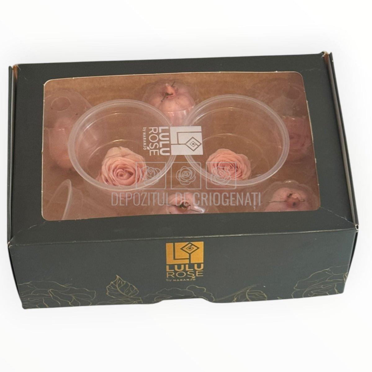Trandafiri Criogenati Lulu Roz DELICATE BABY PINK - Depozitul de Criogenati