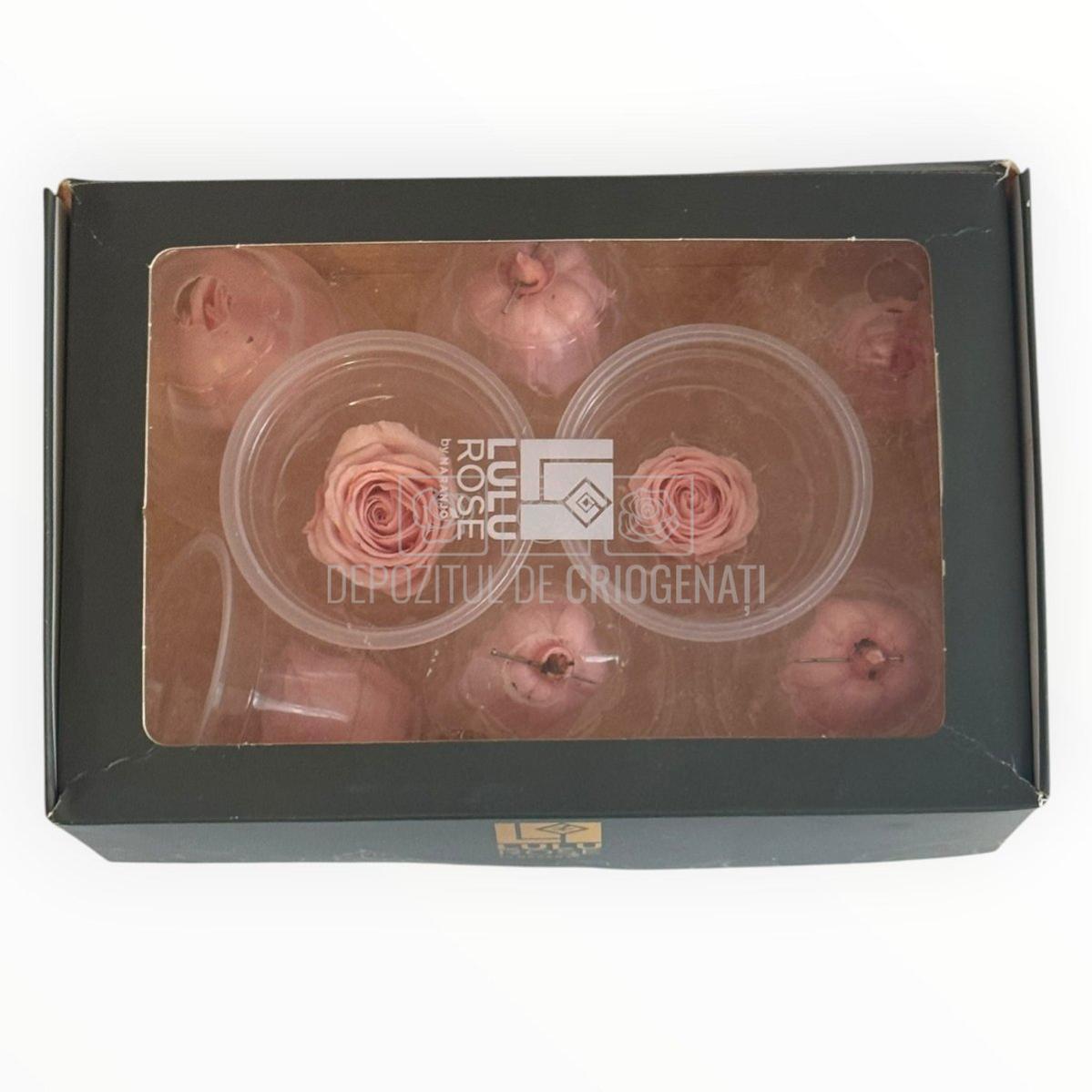 Trandafiri Criogenati Lulu Roz DELICATE BABY PINK - Depozitul de Criogenati