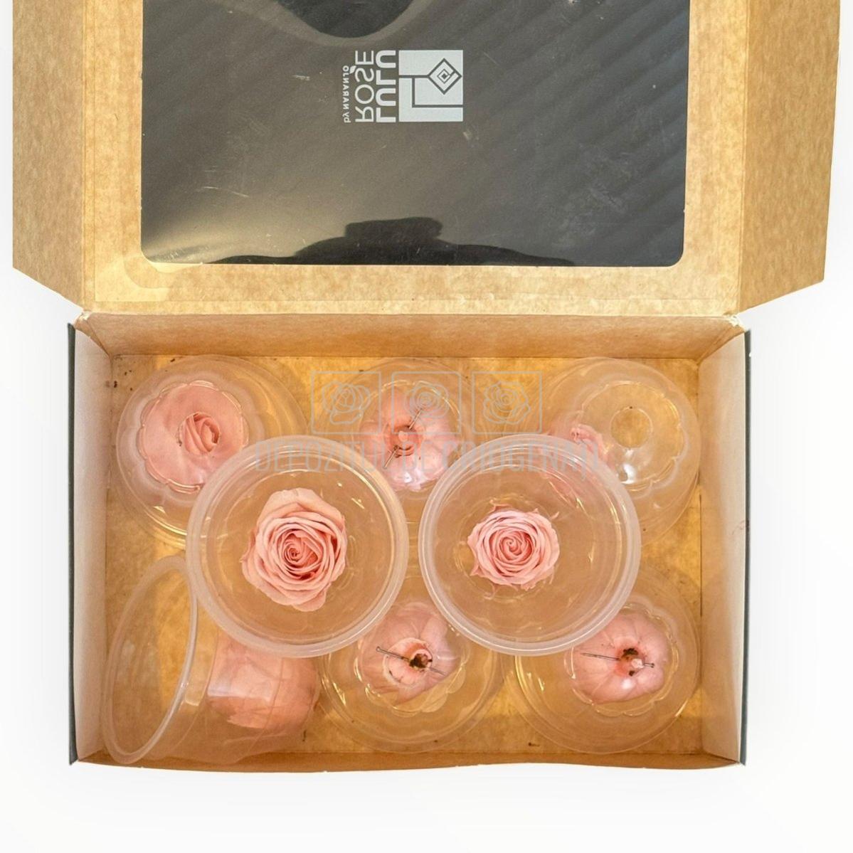 Trandafiri Criogenati Lulu Roz DELICATE BABY PINK - Depozitul de Criogenati