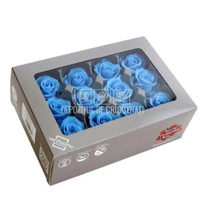 Trandafiri Criogenati MINI SKY BLUE (Ø3,5-4,5cm, set 12 buc /cutie) - DepozituldeCriogenati.ro