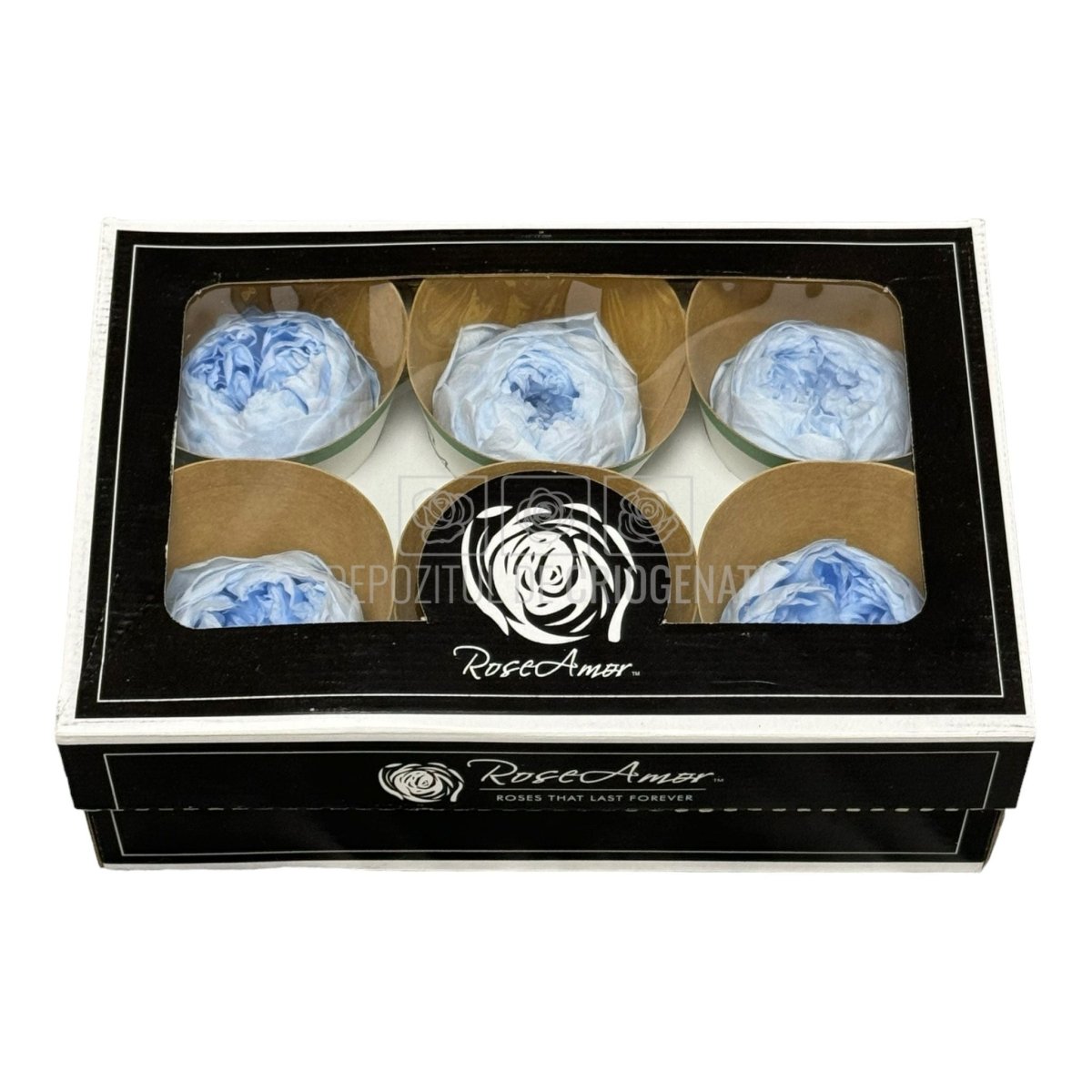 Trandafiri Criogenati NIKI BLU-89 (dia. 5cm, set 6 buc /cutie) - DepozituldeCriogenati.ro