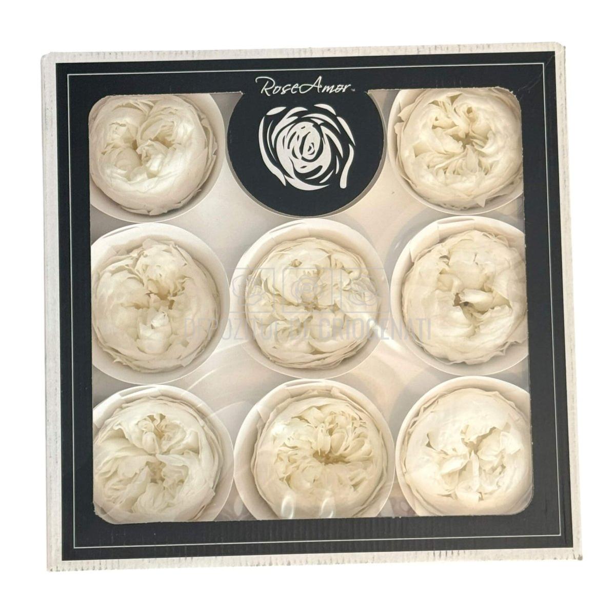 Trandafiri Criogenati NIKI L WHI-01 (Ø4,5cm x H4cm) - Depozitul de Criogenati