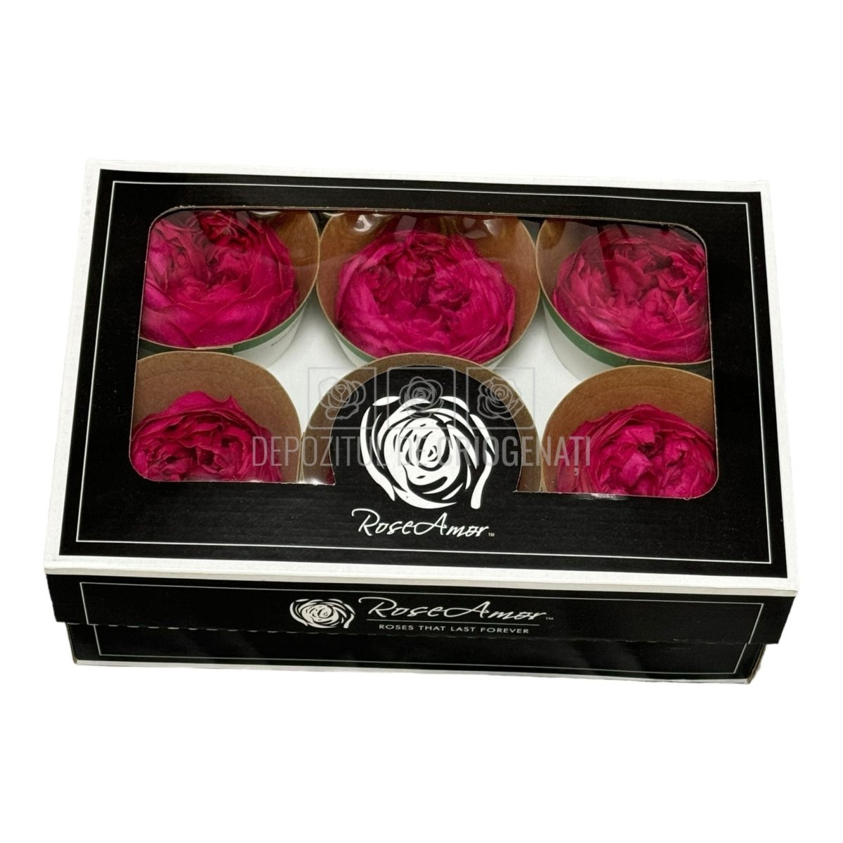 Trandafiri Criogenati NIKI PIN-03 (dia. 5cm, set 6 buc /cutie) - DepozituldeCriogenati.ro