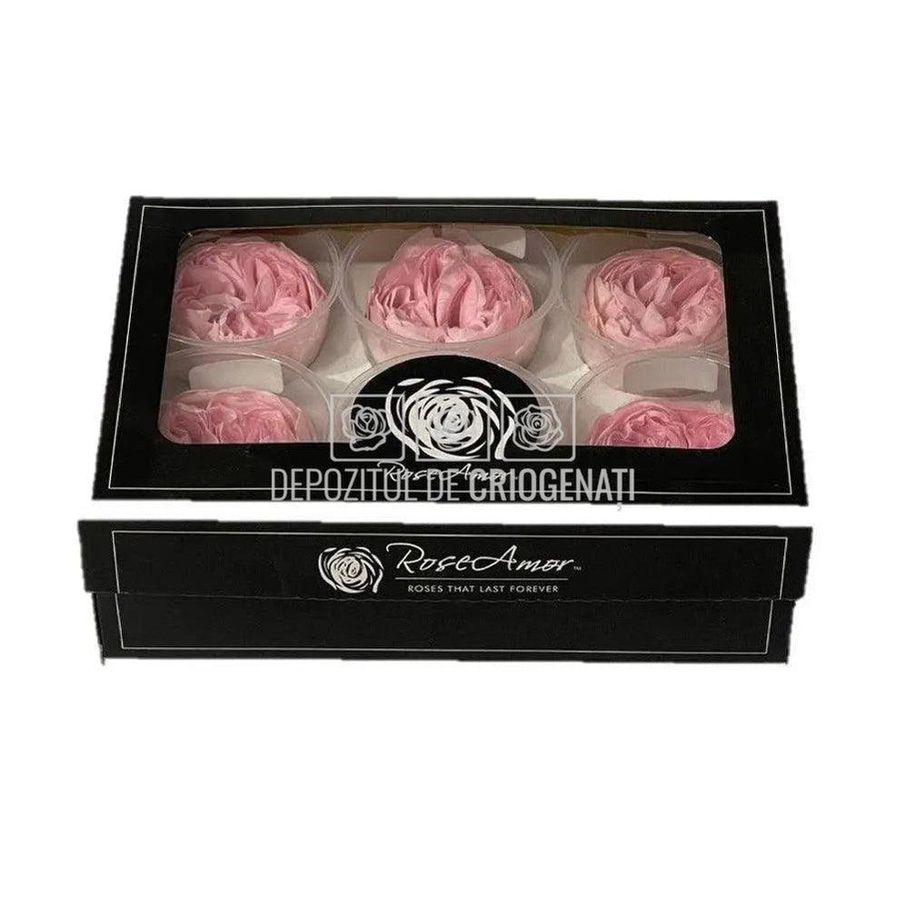 Trandafiri Criogenati NIKI PIN-04 (dia. 5cm, set 6 buc /cutie) - DepozituldeCriogenati.ro