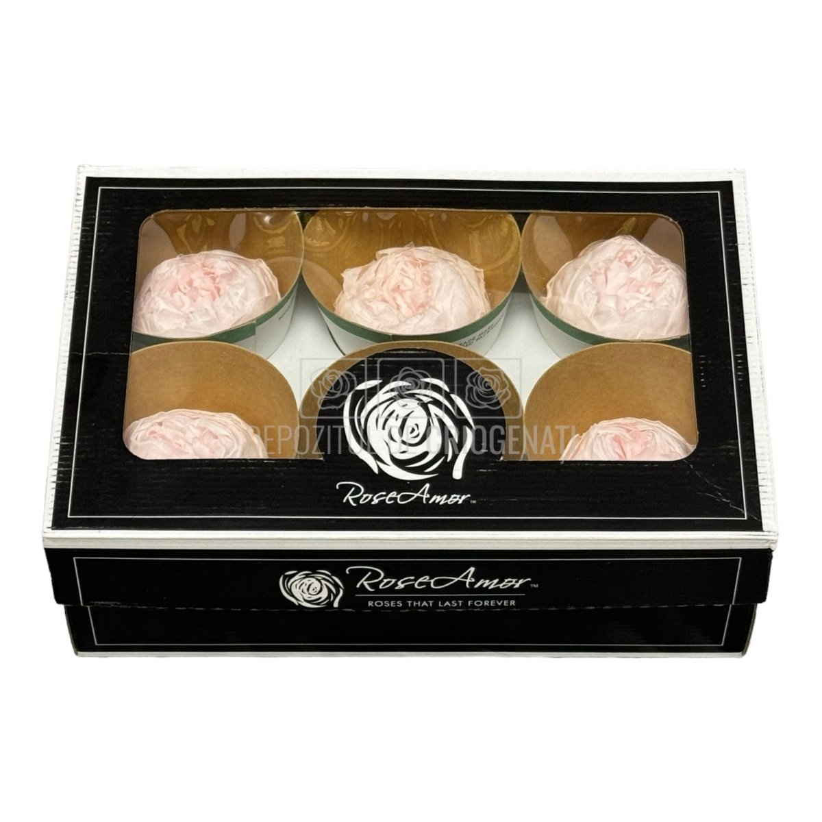 Trandafiri Criogenati NIKI PIN-89 (dia. 5cm, set 6 buc /cutie) - DepozituldeCriogenati.ro