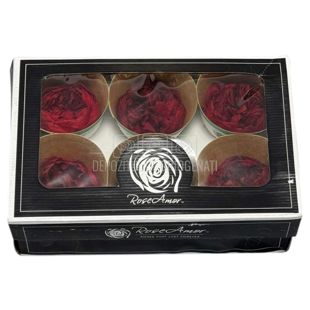 Trandafiri Criogenati NIKI RED - 01 - set 6 buc - Depozitul de Criogenati